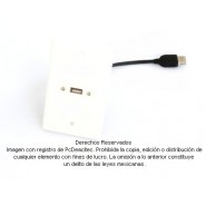 Placa Tapa USB 2.0 tipo A en ABS